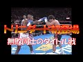 【全勝同士の激闘】IBF世界ウェルター級王者 フェリックス・トリニダード vs 挑戦者 ヨリボーイ・カンパス🥊　Félix Trinidad vs Yory boy Campas