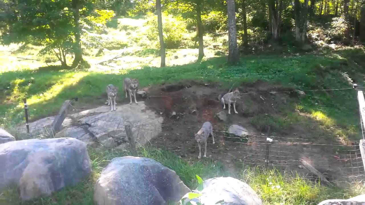 Visit to Omega Park YouTube