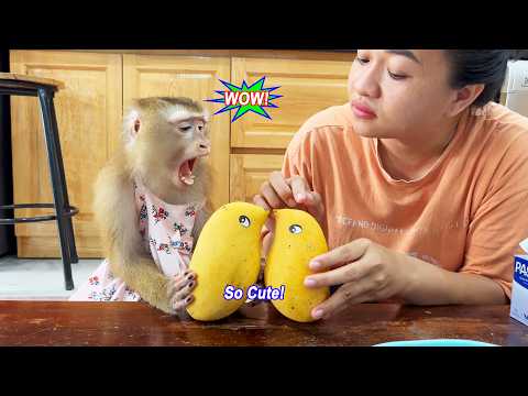 LYLY cherishes the "adorable" fruit gifted by the neighbor, so she can't bring herself to eat it.