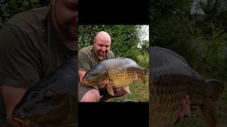 Big common #carp #carpfishing #fish #fishinglife #fishing #hindersbait #fish #freshwaterfish #uk