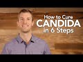 How to Treat Candida in 6 Steps | Dr. Josh Axe