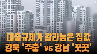 대출규제가 갈라놓은 서울 집값…강북 '주춤' vs 강남…