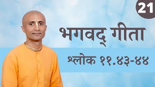 Shloka 11.43-44 | Part 21 | The Universal Form | HG Krishna Dhan Das
