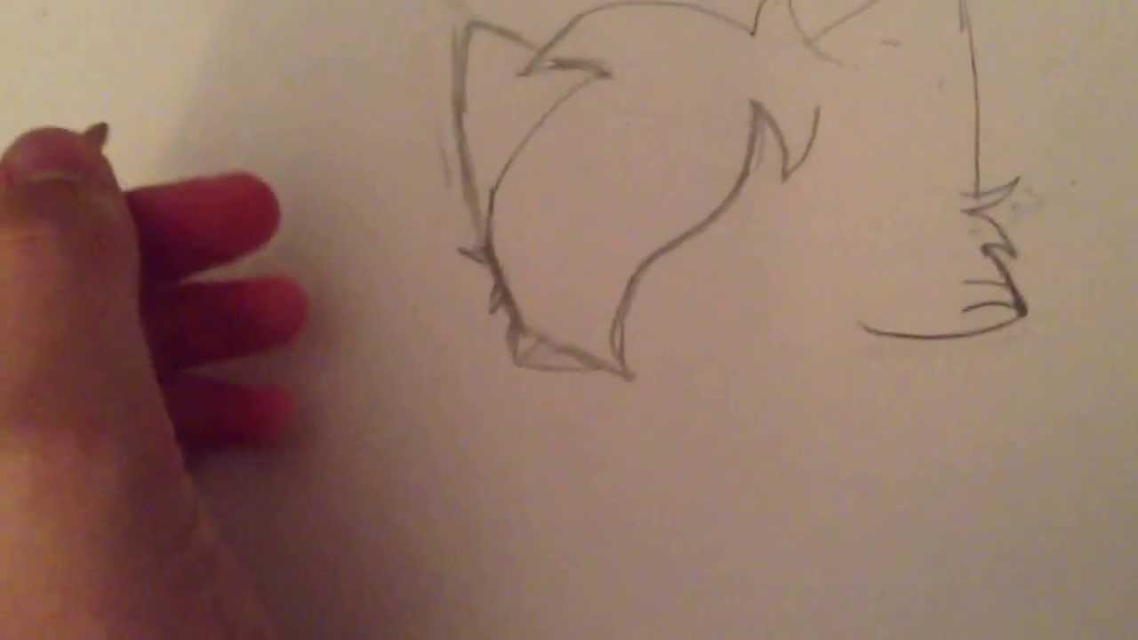 how to draw warrior cats anime