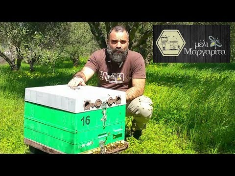 Επιθεώρηση παραφυαδας &