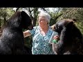 The Granny Who Lives With Two Bears And A Tiger