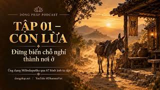 Danh sách phát Ứng dụng Milindapañha qua 67 hình ảnh tu tập