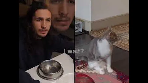 The Kiffness x Lonely Cat - Sometimes I'm Alone (Singing Cat) @TheKiffness