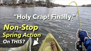 Change of Bait for EPIC💥 Striper/Spotted Bass Action! Lake Norman (April)🎣
