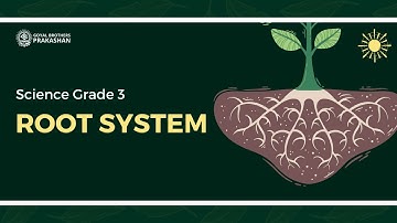 Root System | Class 3 | Illustrative Series | Goyal Brothers Prakashan