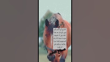 صباح الخير أذكار