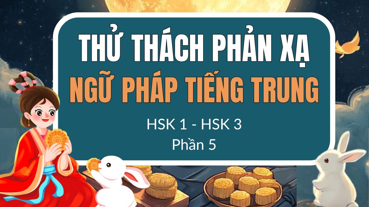 [ PHẦN 5] LUYỆN PHẢN XẠ NGỮ PHÁP TIẾNG TRUNG HSK1- HSK3 - Mỗi cấu trúc 20 câu thông dụng.