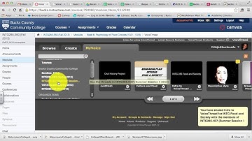 VoiceThread Tool Options in Canvas