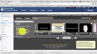VoiceThread Tool Options in Canvas