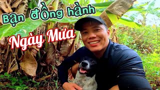 Tát Ao Ngày Mưa Gió | Bữa Cơm Dân Dã Ngoài Đồng Xa | BomBom Vlog