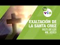 Rezo de los mil Jesús, Exaltación de la Santa Cruz, 3 de mayo 2020 - Tele VID