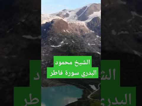 الشيخ محمود البدي سورة فاطر  الشيخ محمود البدي سورة فاطر