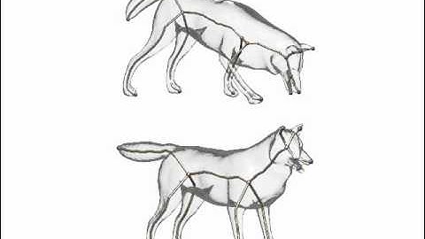 Skeleton Extraction by Mesh Contraction