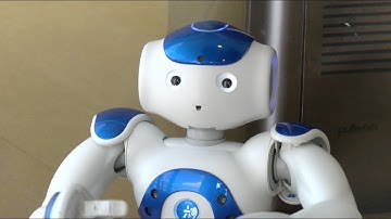 Meeting a Social Robot