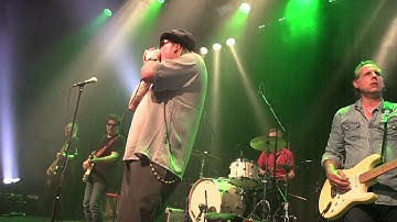 THE RED DEVILS  Backstroke (I was Wrong) @ DE BOSUIL, WEERT - 03/06/17