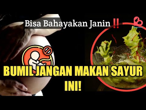 Tumis Bunga Pepaya Ibu Hamil