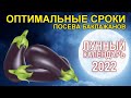 Оптимальные сроки посева баклажанов на рассаду по лунному календарю в 2022 году