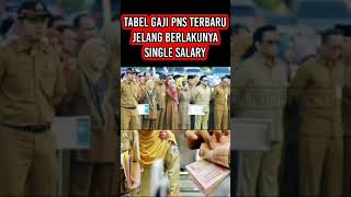 TABEL GAJI PNS TERBARU JELANG BERLAKUNYA SINGLE SALARY #shortsvideo