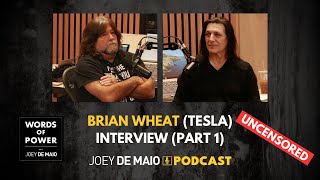 🎸 Shocking: Brian Wheat (Tesla): Why Massive Success Can Ruin Your Career And How I Prevailed