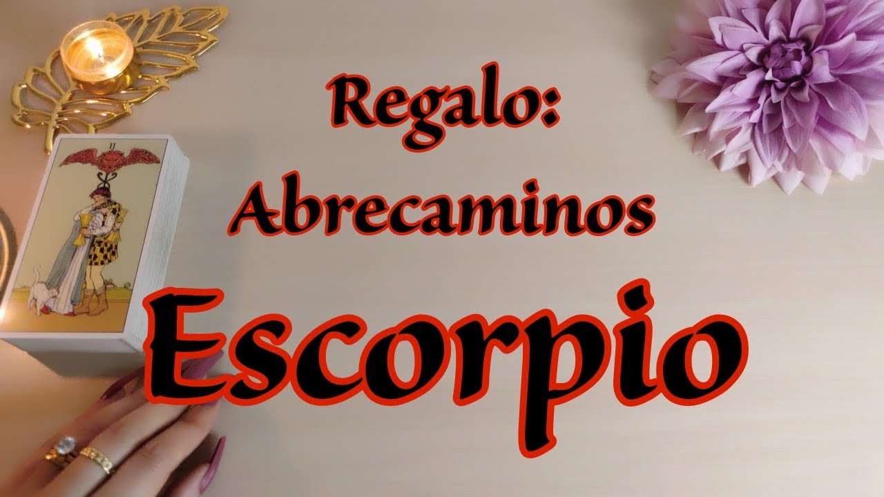 Escorpio ♏ Se Va De TU VIDA 🦇 Y Llega Un 𝑵𝑼𝑬𝑽𝑶 𝑨𝑴𝑶𝑹 😍🤩 #escorpio hoy ...