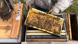 Installing a nuc into a 10 frame box and quick hive inspection.