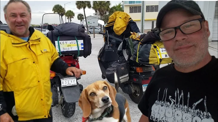 Riding Scooters to Key West | With a Beagle
