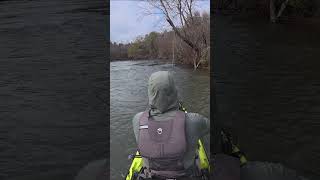 The LT SWAG 5 inch is Perfect in Fast Water! #kayakbassfishing