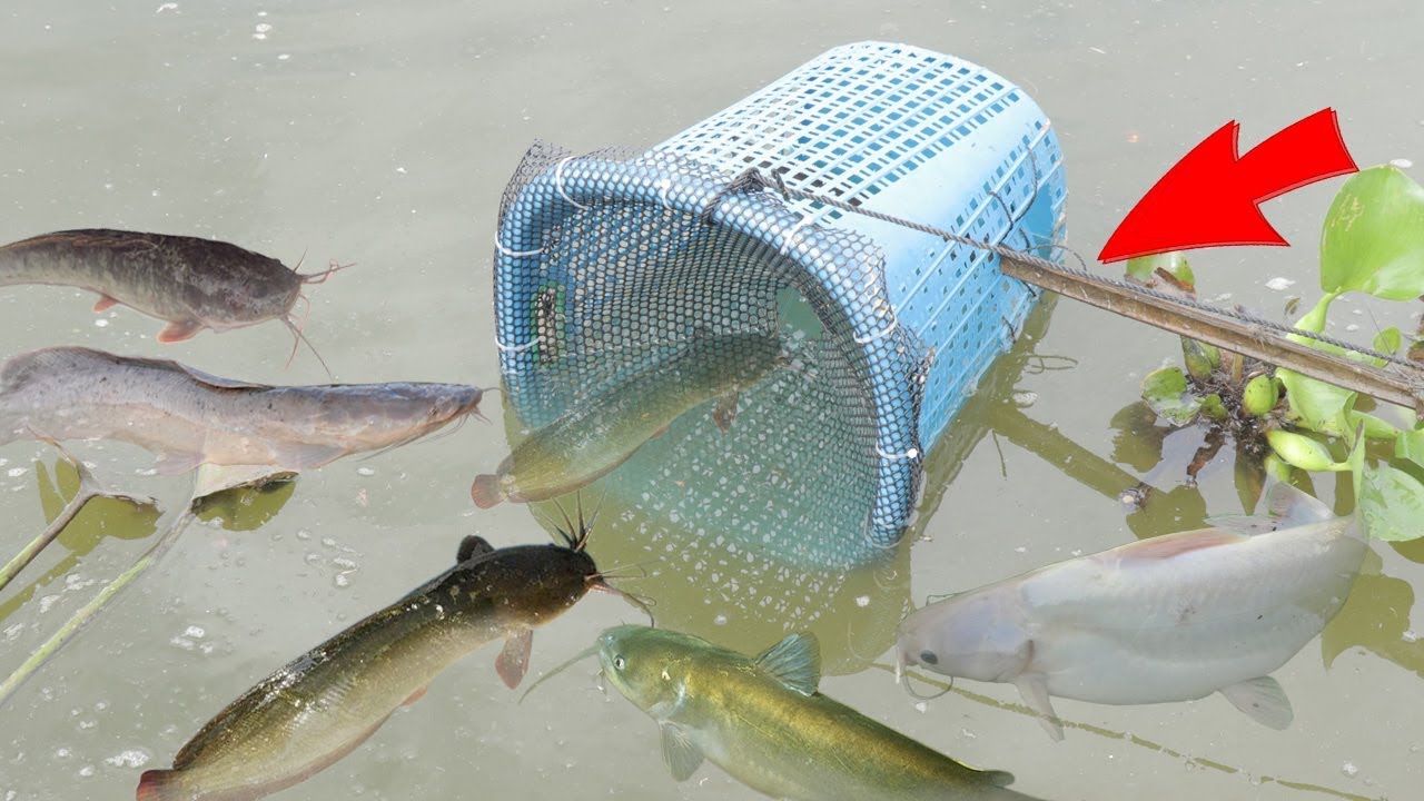 How to Make Fishing Traps