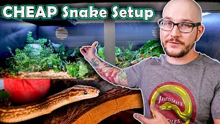 Famous CHEAP and EASY PVC Enclosure Setup For Any Snake Or Lizard! | My Rainbow Boa's New Home Net Worth