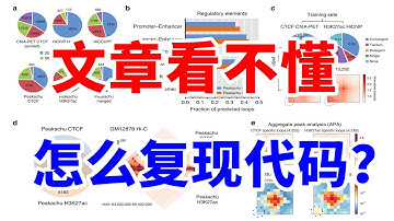 【博士Vlog】完全看不懂的生物学文章，怎么复现代码？搞科研必须学会的方法！
