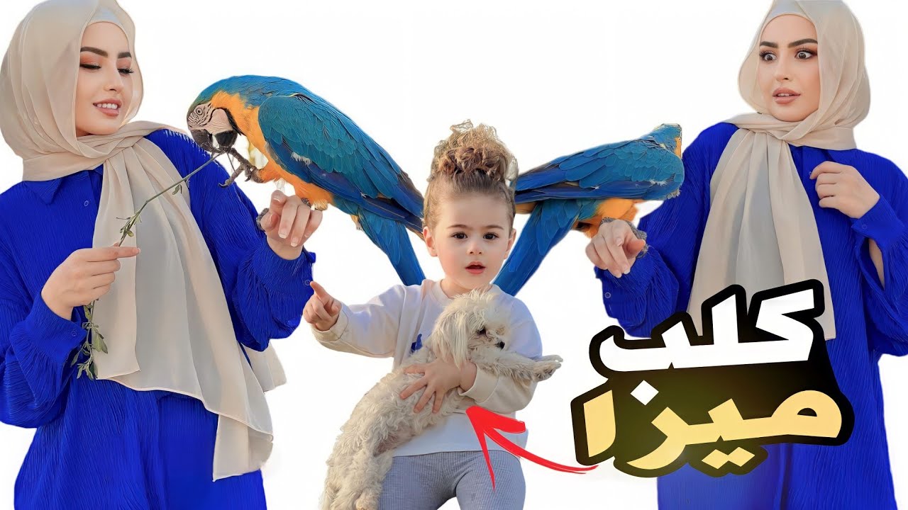 بنتي خطفت كلب من حديقة الحيوانات وصار صديقها🙈🐩شهد وسيامند