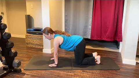 Quadruped TA Bracing