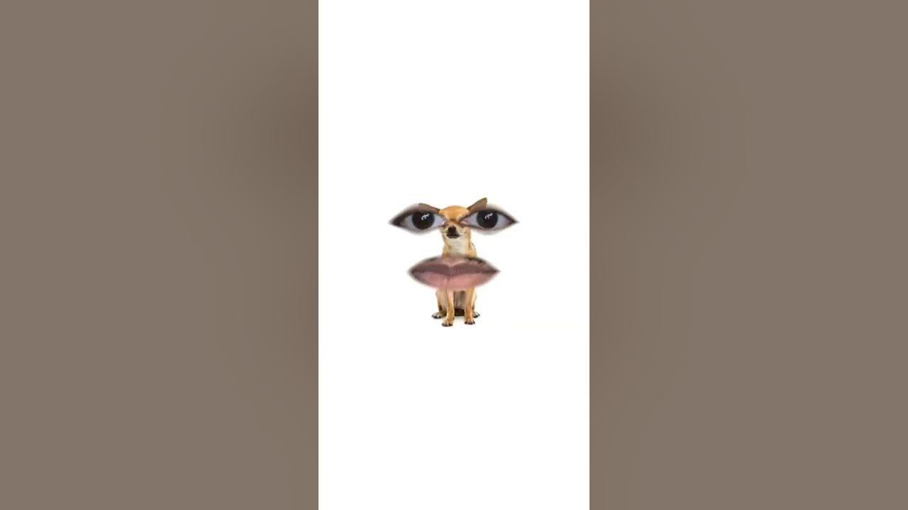 Waffle House And Roscoe’s Chicken & Waffles wafflehouse 