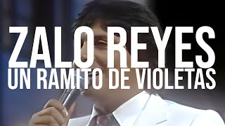 Zalo Reyes - Un ramito de violetas (Letra) Resimi