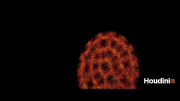 Academy - The Focus | FX Skill Test | ShieldFX(Breakdown)