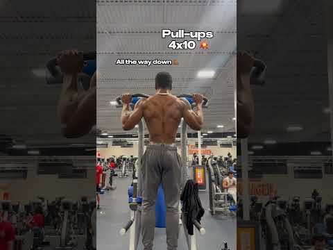 The BEST Back Workout!