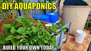 Complete DIY Aquaponics System Build | Fish Tank, Filters, Dual Root Zone & Media Beds