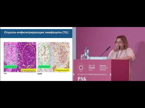 Видео: Роль клеток Pre-mNK в развитии опухоли