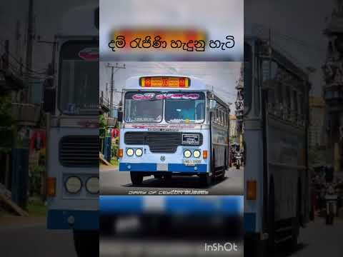💀💀 #trending #pahanpriya  #trend #bus #damrajina