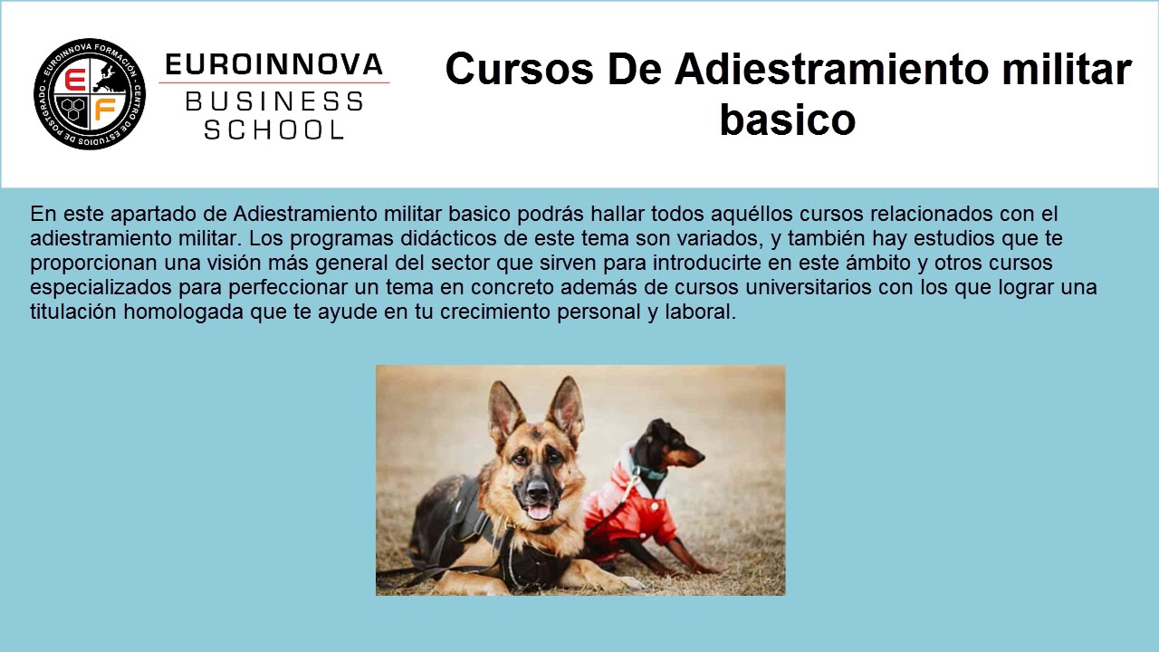 adiestramiento militar - YouTube