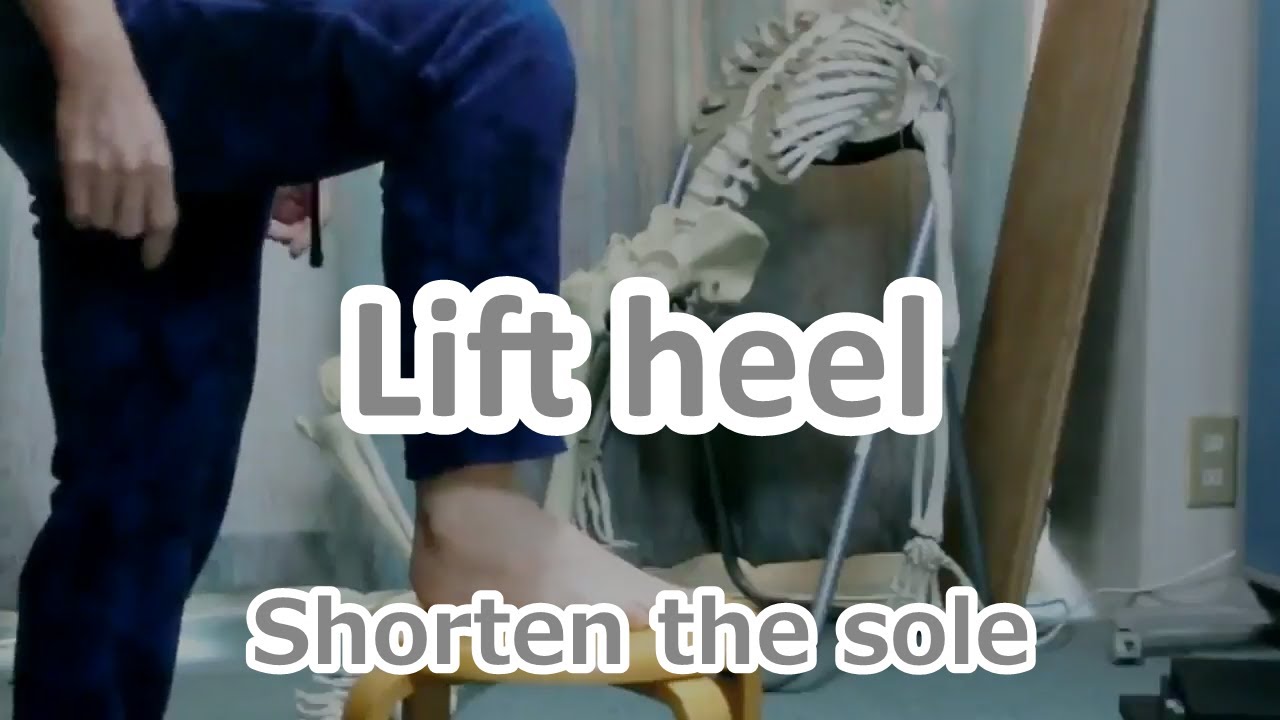 Lift heel by stretching or shortening sole of foot YouTube