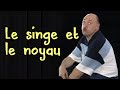 Le singe et le noyau