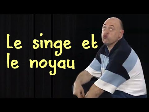 Le singe et le noyau
