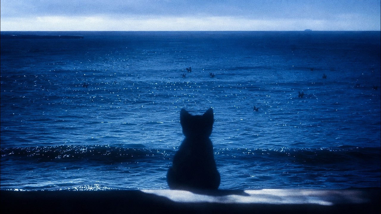 𝙬𝙖𝙫𝙚 𝙩𝙤 𝙚𝙖𝙧𝙩𝙝