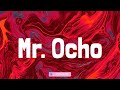 Mr. Ocho - SDM (Lyrics)